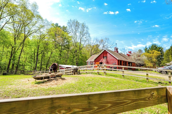 Killingly Vacation Rental | Studio | 1BA | 340 Sq Ft | 2 Steps Required