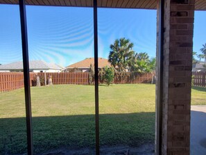 Backyard and Screened Patio