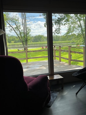 The 2 river-view chairs by the large living room window 