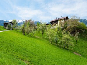 Direkte Umgebung [Sommer] (<1 km)