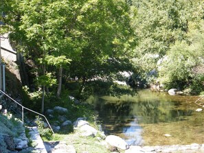 View from Holiday Home [summer]