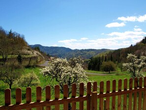 Aussicht vom Ferienhaus [Sommer]