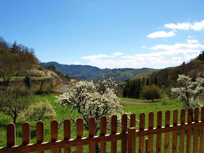 Vue de la maison de vacances [été]