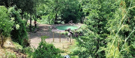 Holiday Home Swimming Pool