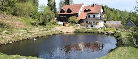 Feriebolig udendørs (sommer)