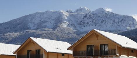 Extérieur maison de vacances [hiver]