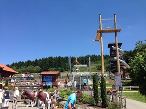 Region [summer] (>5 km)