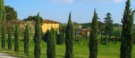 Extérieur maison de vacances [été]