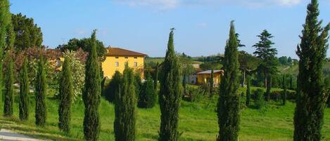 Esterno casa vacanze [estate]