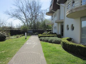 Garden [summer]