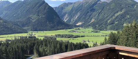 Patio / Balcony