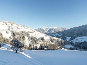 Utsikt från stugan [vinter]