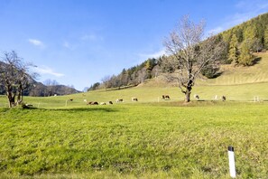 Surroundings [summer] (1-5 km)