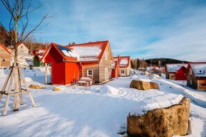 Holiday Home Exterior [winter]