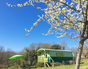 Gîtes@SiBémol, Cosy Habitat insolite pour 2, sur parcelle plantée de fruitiers 