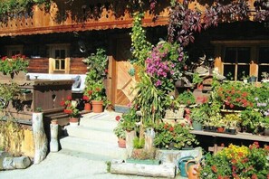 Garden [summer]