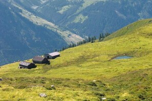 Immediate Surroundings [summer] (&lt;1 km)