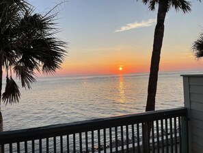 Oceanfront Villa with sunrise views.  Watch dolphins from your private balcony!