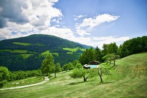 Aussicht vom Ferienhaus [Sommer]