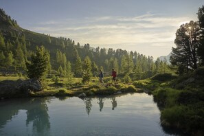 Surroundings [summer] (1-5 km)