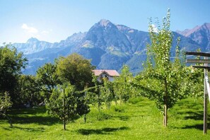 Aussicht vom Ferienhaus [Sommer]