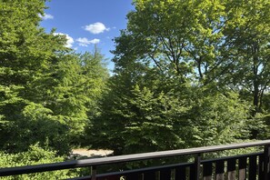 Aussicht vom Ferienhaus [Sommer]