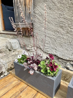 Detalle exterior