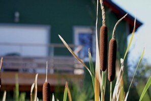 Außenseite Ferienhaus [Sommer]