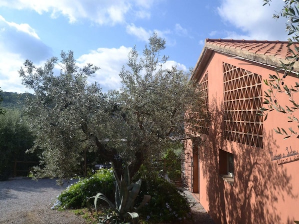 Extérieur maison de vacances [été]