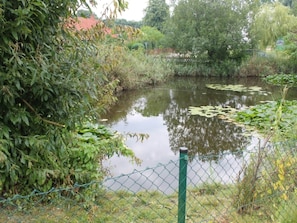 Aussicht vom Ferienhaus [Sommer]