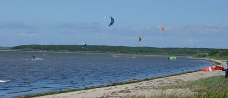 Stugans exteriör [sommar]