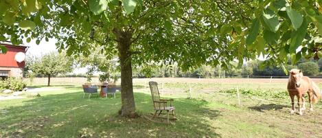 Extérieur maison de vacances [été]