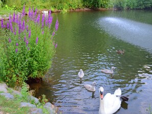 Region [summer] (>5 km)