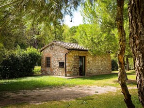 Außenseite Ferienhaus [Sommer]