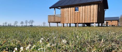 Außenseite Ferienhaus [Sommer]