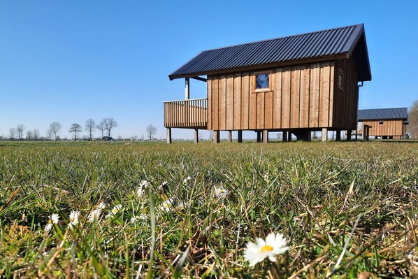 Extérieur maison de vacances [été]