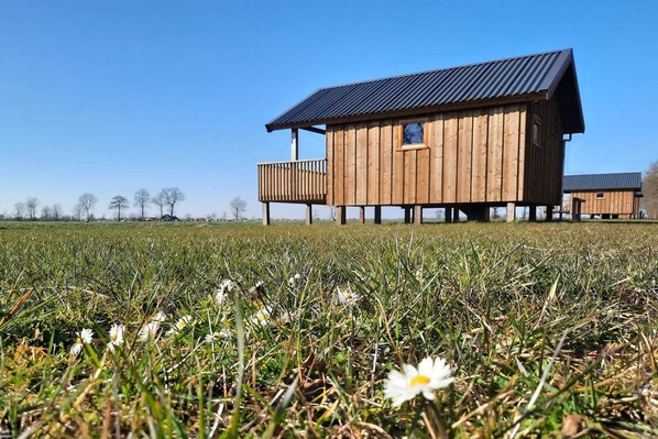 Extérieur maison de vacances [été]