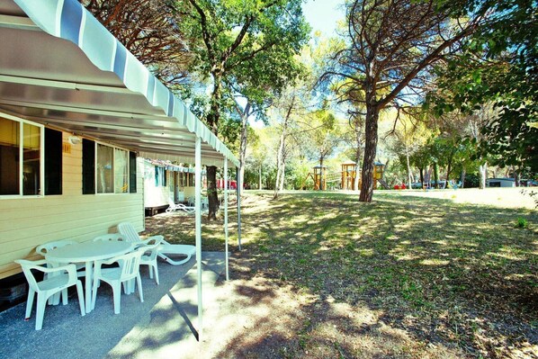 Immediate Surroundings [summer] (&lt;1 km)