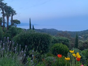 Aussicht vom Ferienhaus [Sommer]