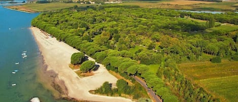 Vue sur l'eau