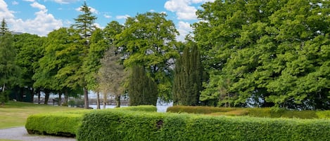 View from living room window