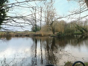 Mill pond
