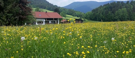 Ferienhaus bis 10 Personen 165 qm mit Balkon, Terrasse und 5 Schlafzimmern-Ferienhaus Froschsee