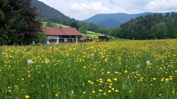 Ferienhaus bis 10 Personen 165 qm mit Balkon, Terrasse und 5 Schlafzimmern-Ferienhaus Froschsee