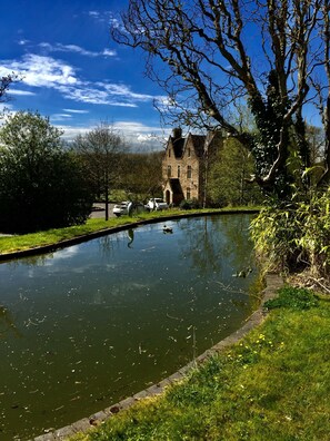 Nature Pond