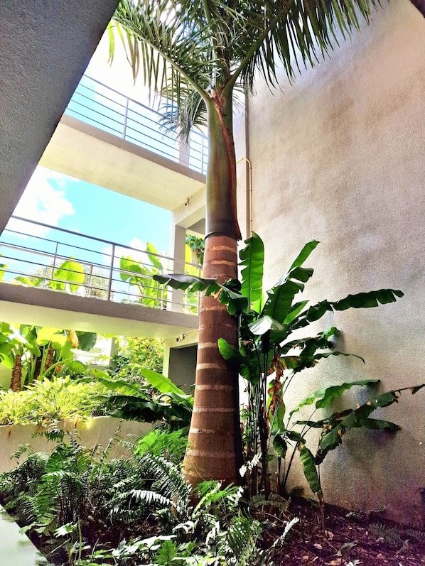 Vista al patio