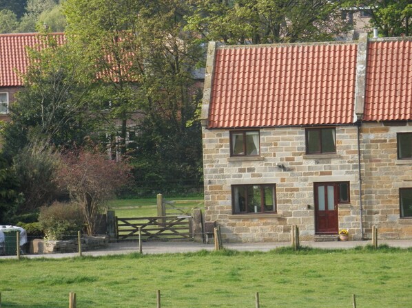 Exteriör
