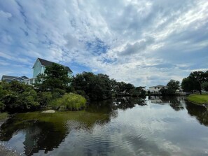 Tidal pond behind the house where you can always spot coastal colorful birds.