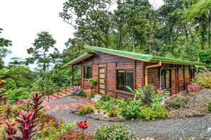 Side door & garden