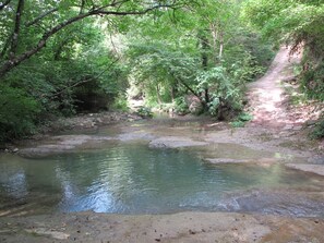 1 minute walk from the terrace... at the rockpool, looking downstream